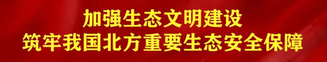 呼伦贝尔市教育局 呼伦贝尔市教育局张永明