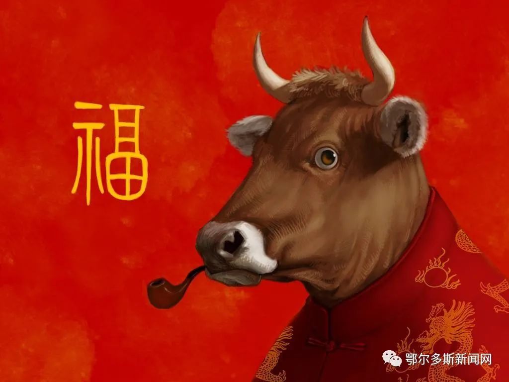 九牛一毛打一生肖 九牛一毛的最佳动物