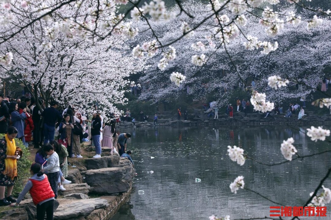 湖南省森林植物园 湖南省森林植物园位置