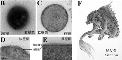 硫酸钠的相对分子质量 相对分子质量
