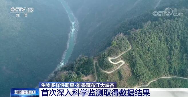 雅鲁藏布江大峡谷 《雅鲁藏布大峡谷》