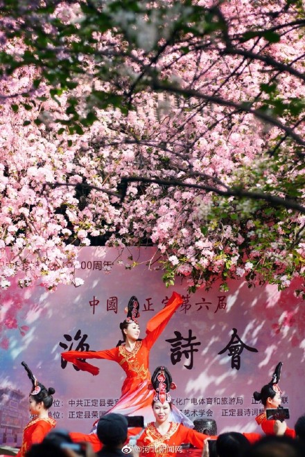 海棠花什么时候开 海棠花开了什么梗