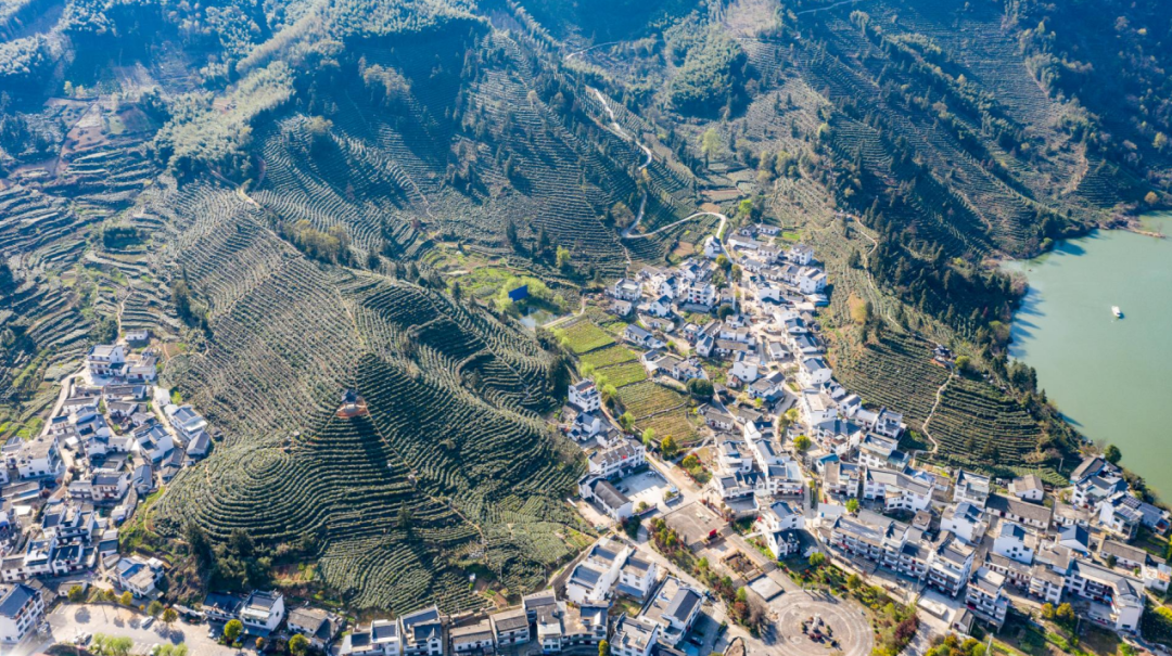 抖音代运营公司黄山(黄山：智慧城市先行探路者)  第6张