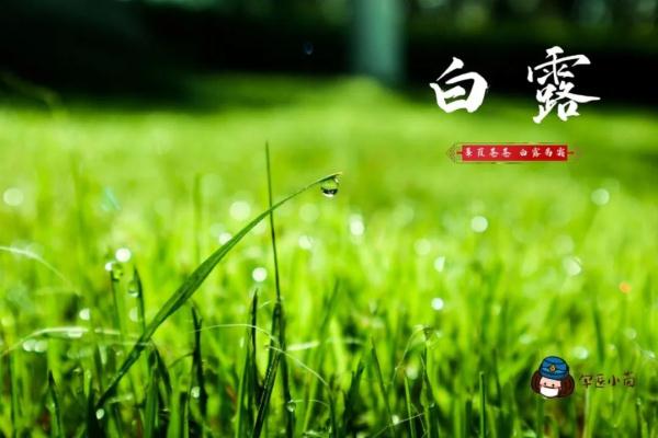 阿昔洛韦乳膏 阿昔洛韦晚上不能用