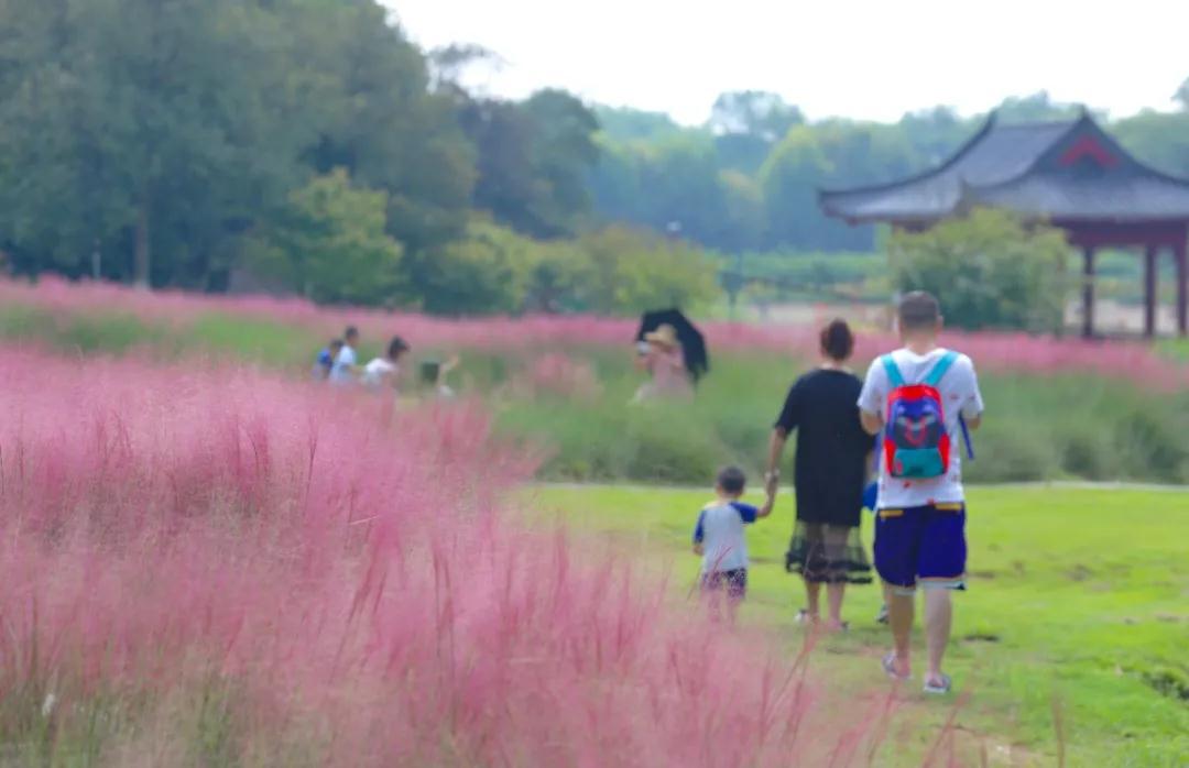 八大山人梅湖景区 八大山人旅游景区