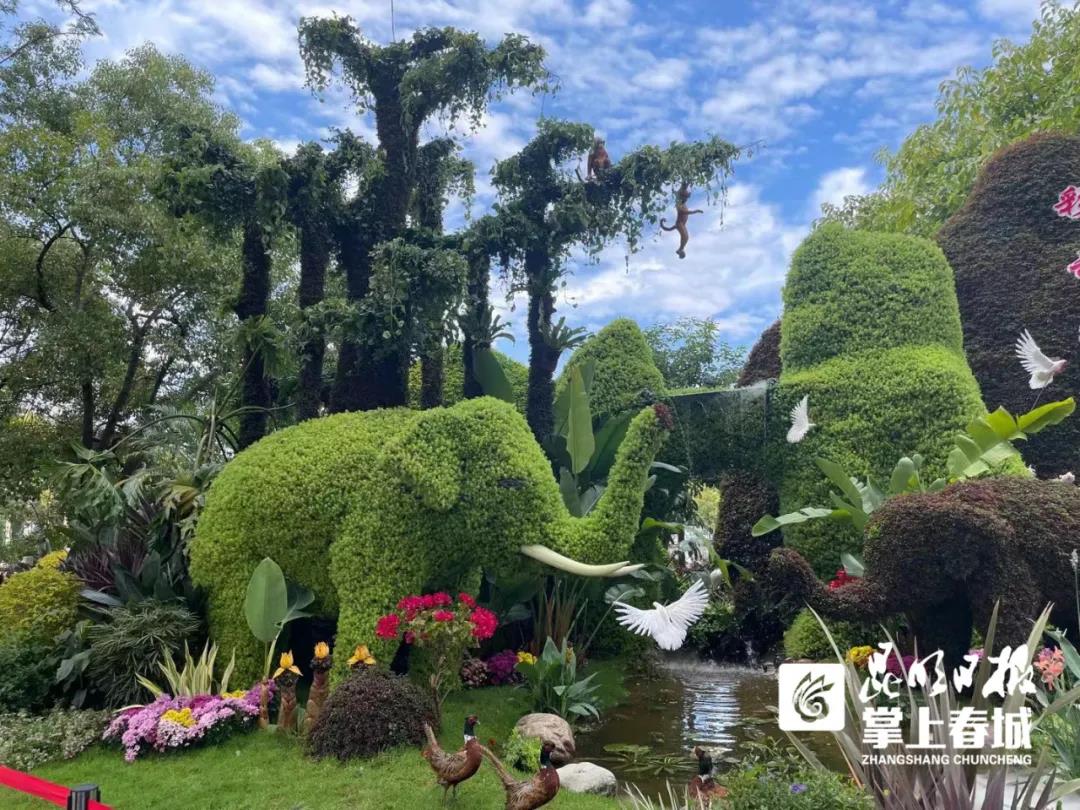 云南昆明旅游景点 昆明到大理怎么去方便