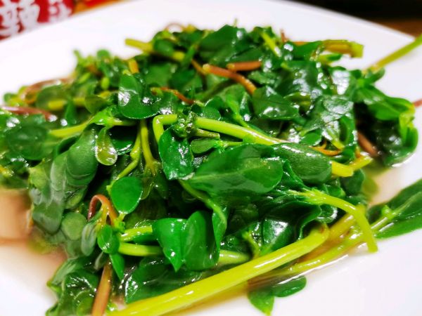 马齿苋怎么吃 马齿苋十大功效