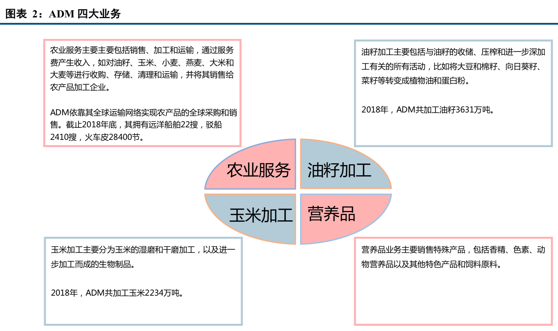 四大粮商之ADM深度研究