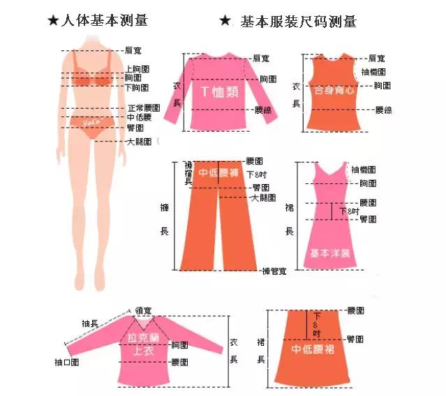 xxl是多大尺码 3xl尺寸对照表
