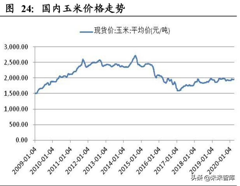 粮食供需分析及国内外种业发展对比专题报告