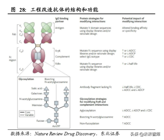 生物医药专题之单抗行业深度报告：综述篇