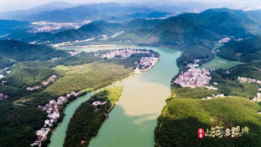 ▼肇庆广宁县,绥江两岸的竹海.肇庆的东边和北边地区属于北江流域.
