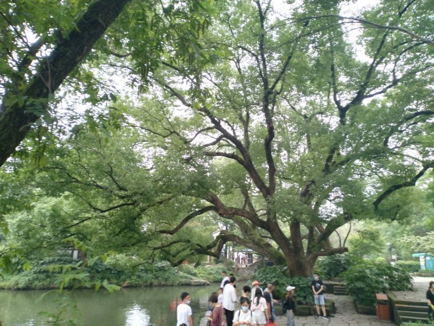 忧心忡忡是什么意思 忧心忡忡是什么肖