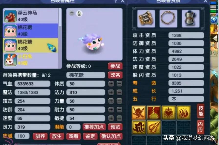 梦幻西游:贫穷限制想象力系列!这个30级的玩家将梦幻玩出花儿