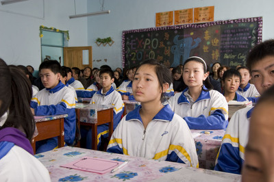 金色的草地教学设计 金色的草地第二课时
