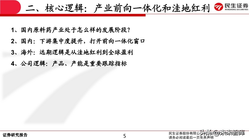 特色原料药行业专题报告：API行业生态演绎认识