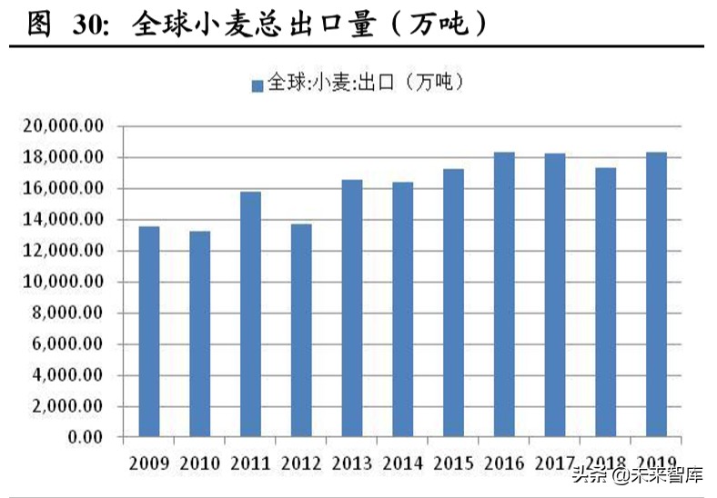 粮食供需分析及国内外种业发展对比专题报告