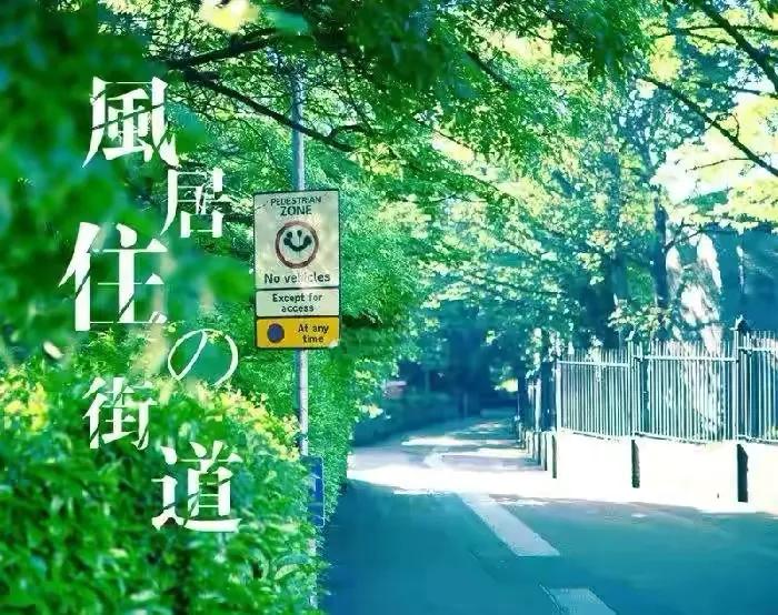 风居住的街道钢琴曲 风居住的街道 纯音乐