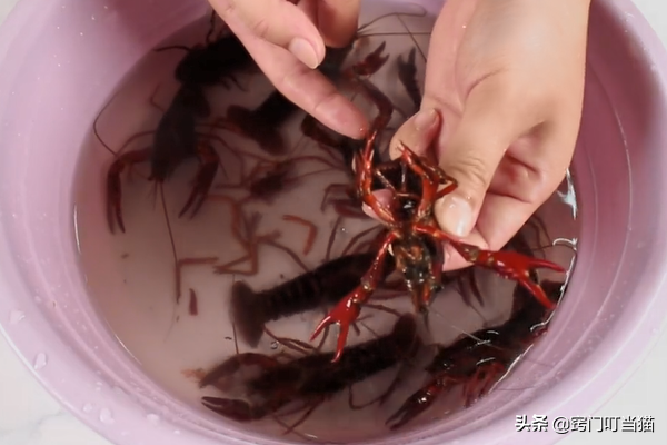 小龙虾怎么清洗和处理 冻龙虾尾怎么做好吃