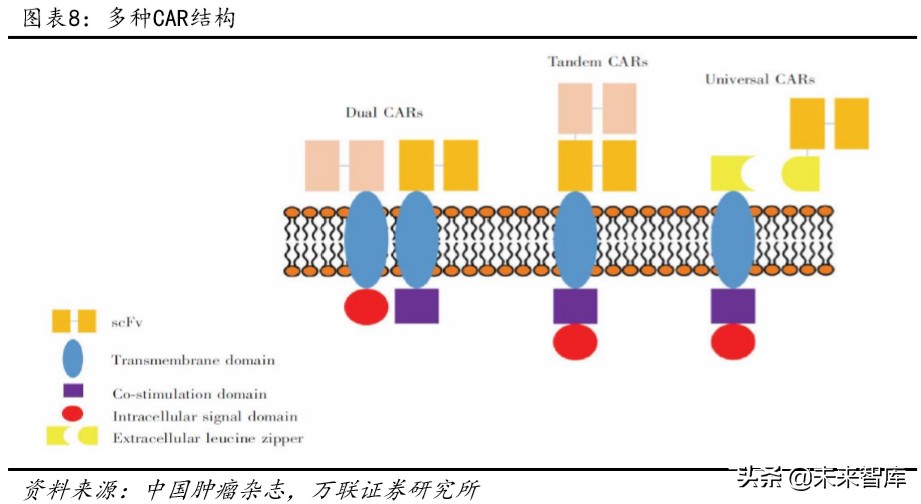医药行业专题报告：CAR-T，商业化进展顺利，市场潜力仍待挖掘