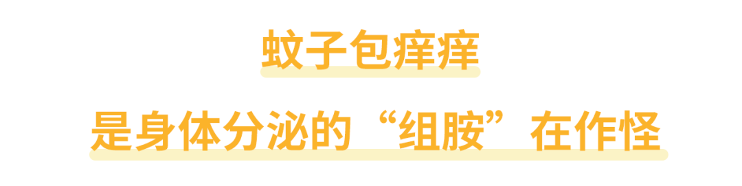蚊子咬了怎么消肿止痒最快 蚊虫叮咬止痒最有效土方法