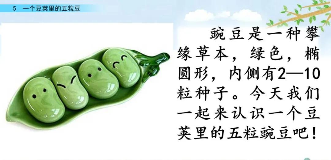 一个豆荚里的五粒豆 《望天门山》