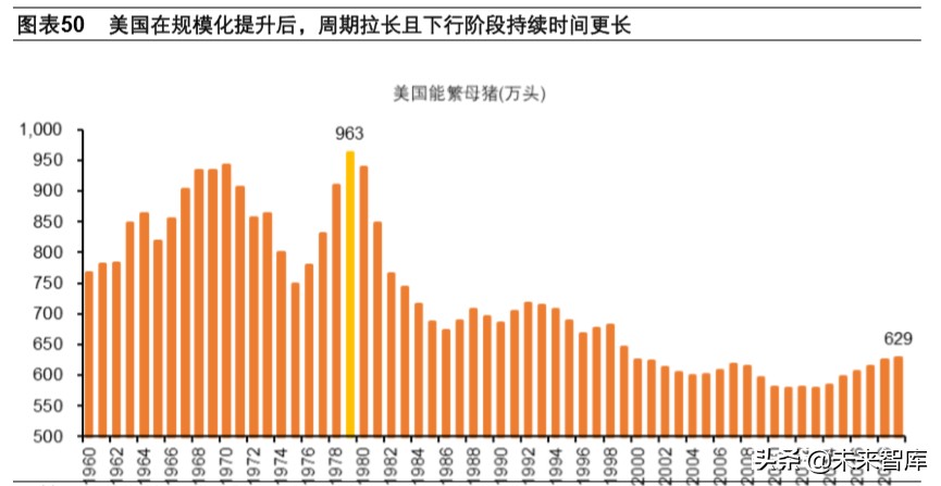双疫情下中国生猪产业链专题报告