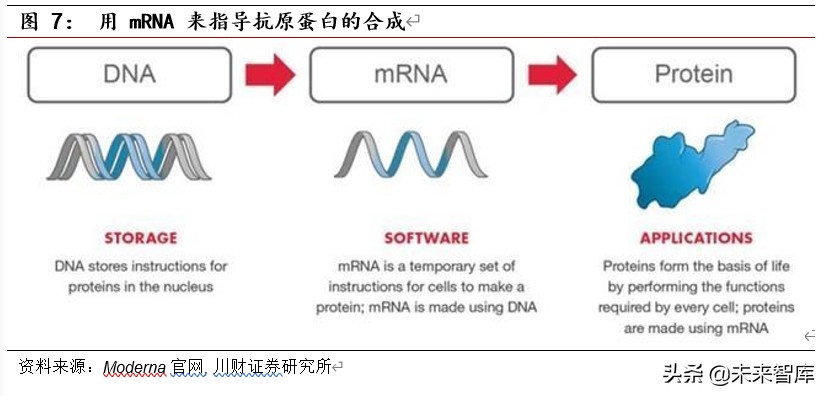疫苗行业新冠专题研究：国际突发公共卫生事件下的疫苗研发