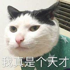 spacebar spacebar键是什么意思