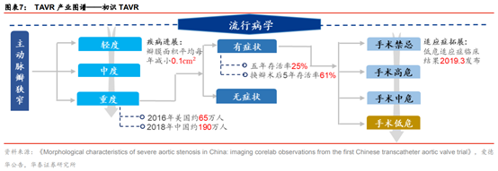 医药生物行业专题：TAVR 有望成为未来主动脉瓣膜疾病的治疗趋势