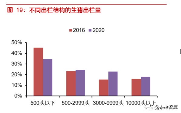 动物疫苗专题报告：周期恢复启程，创新单品可期