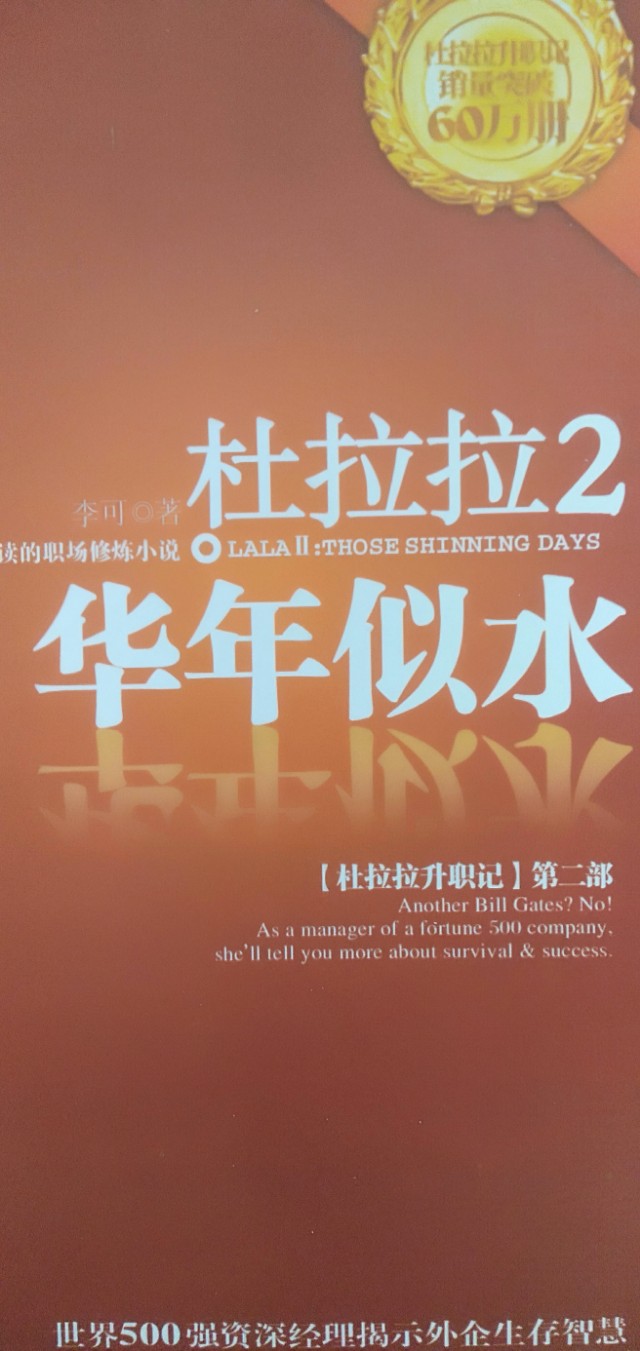 杜拉拉升职记 杜拉拉升职记2华年似水