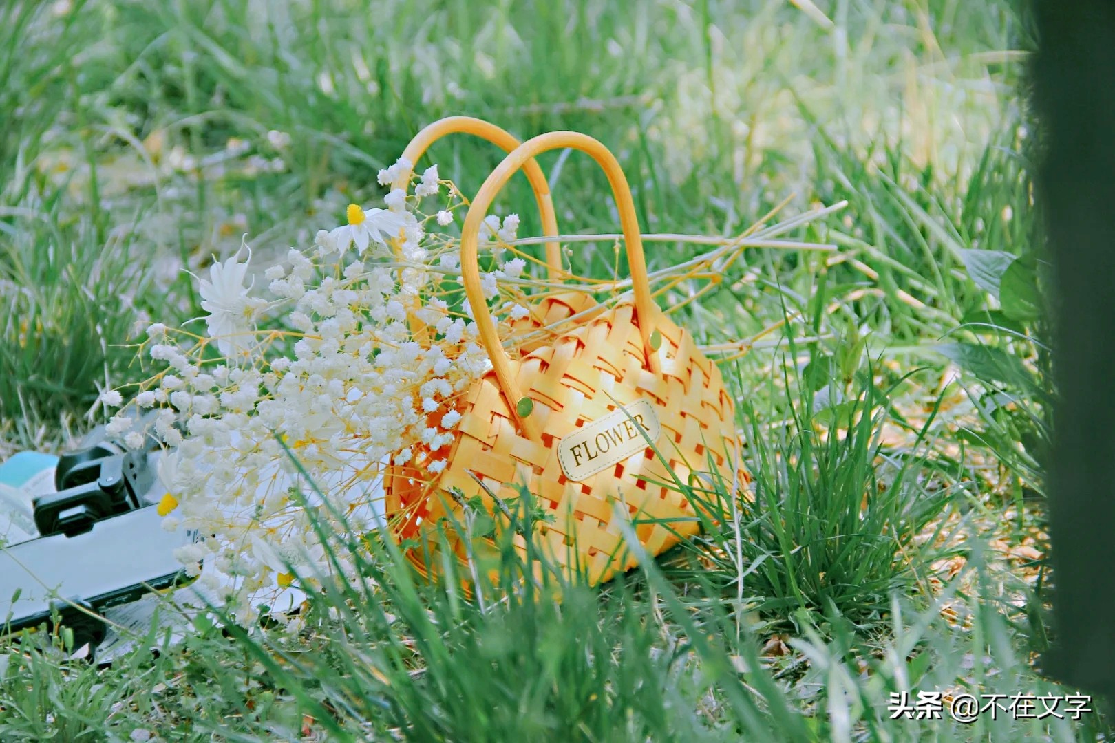 夏天的句子短句唯美 夏天文案短句