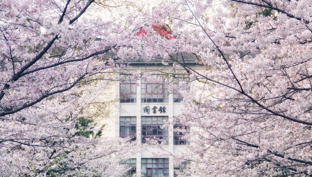 南京林业大学研究生 南京大学考研分数线