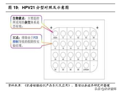 医疗行业专题：核酸分子诊断龙头凯普生物深度解析