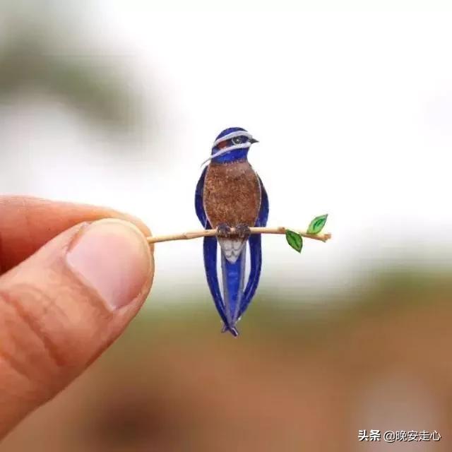 彪悍的人生不需要解释 彪悍的人生不需要解释图片