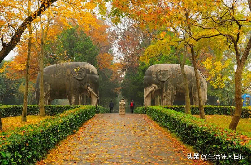 南京旅游景点推荐 南京最值得去的景点