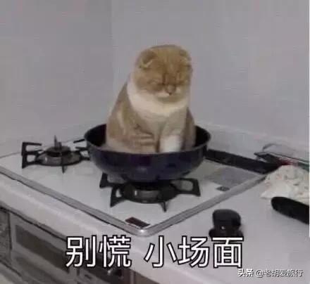 第一次坐飞机常见尴尬 第一次坐飞机有多激动