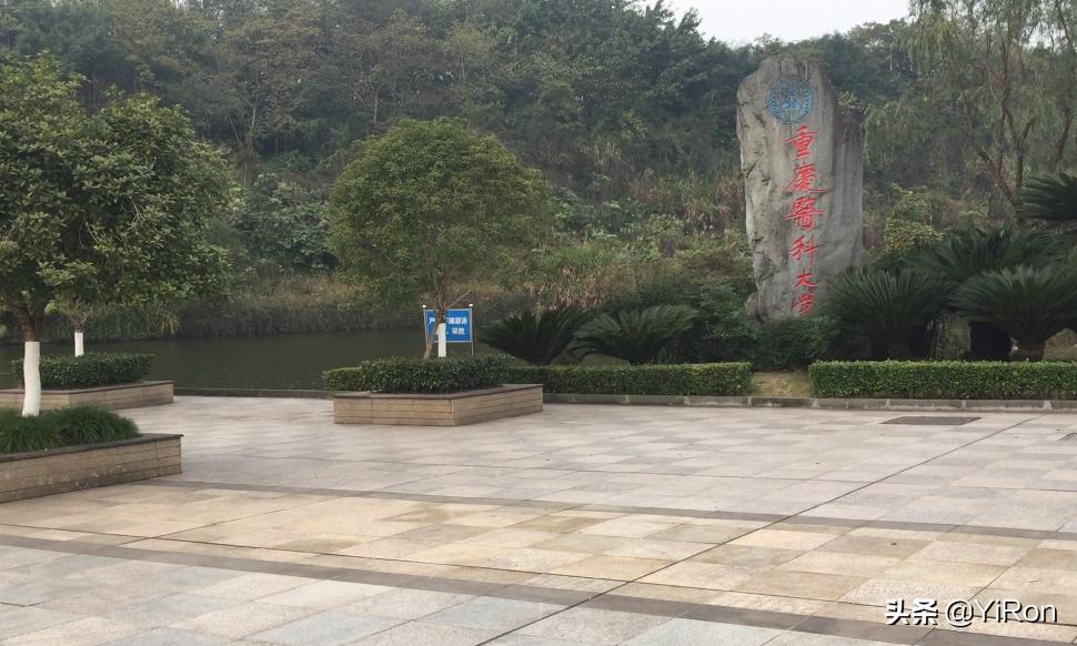 重庆医科大学研究生院 南方医科大学研究生