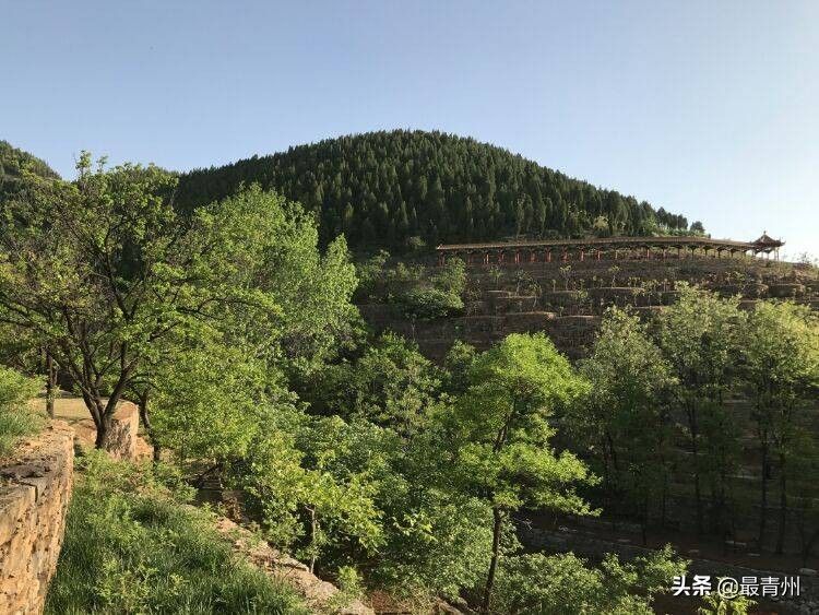 青州胡林古村簡介_青州胡林古景區門票