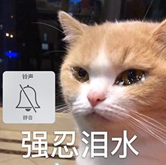 制作ppt的软件 在手机上怎样做ppt