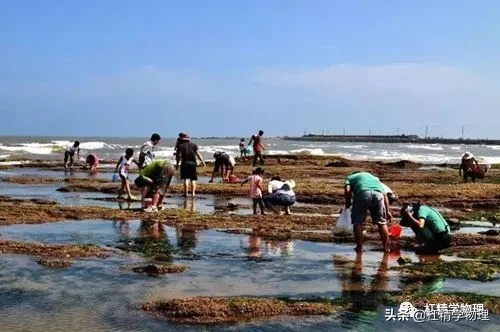 鲅鱼圈潮汐表 2023年鲅鱼圈最准的潮汐表