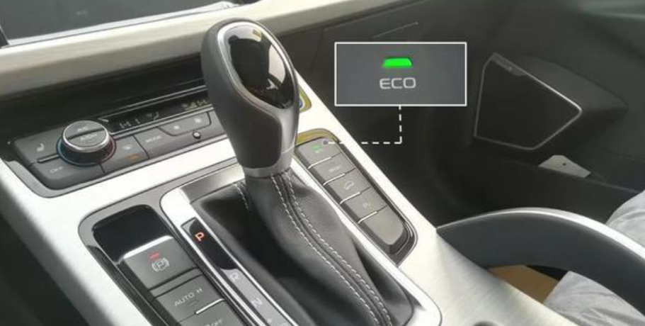 eco是什么意思 eco中文意思