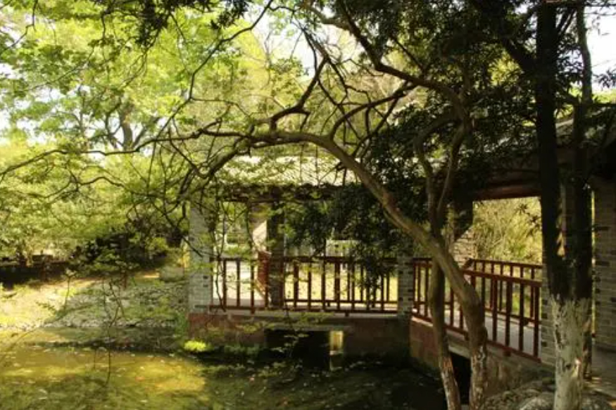 八大山人梅湖景区 八大山人风景区