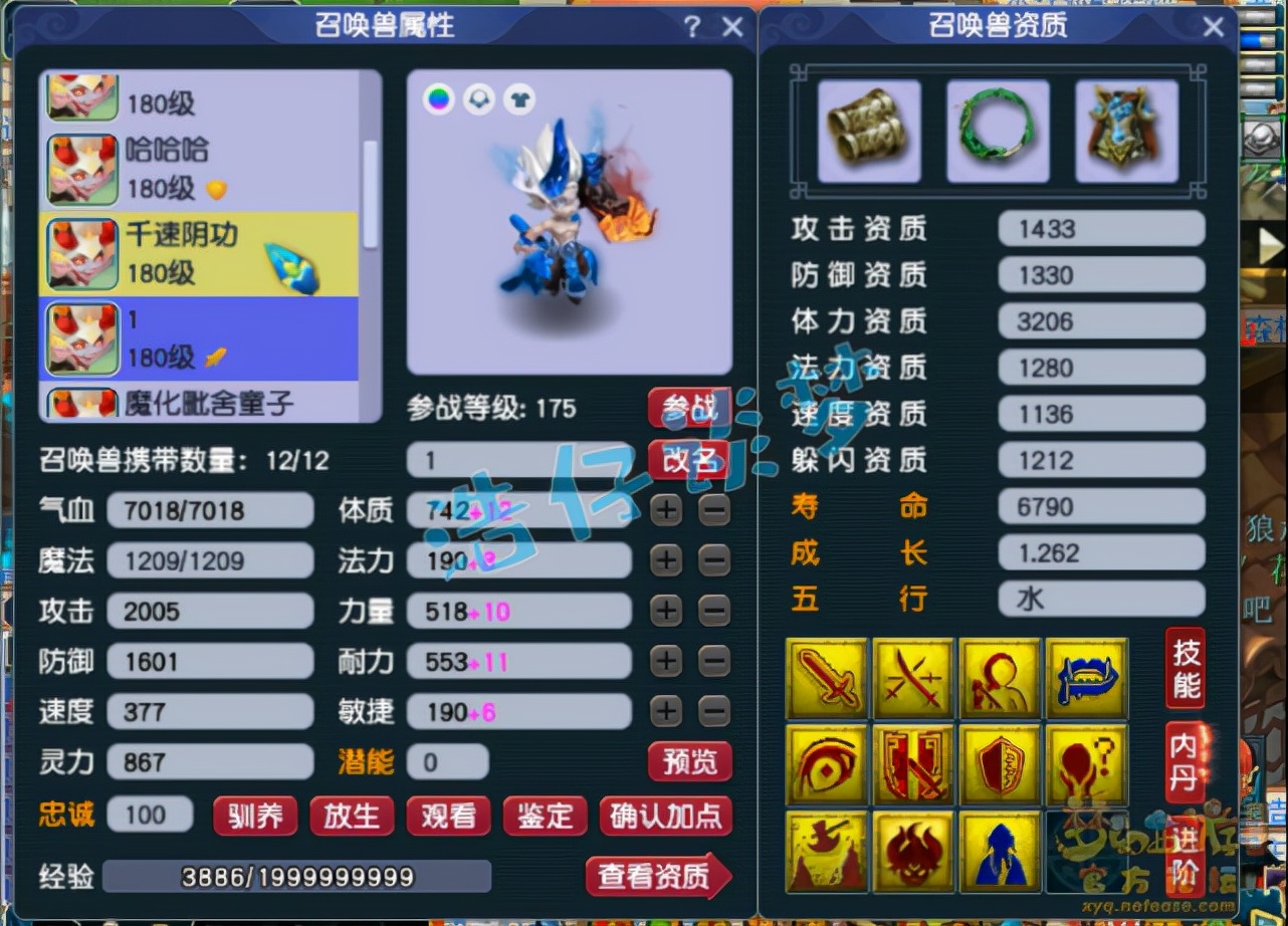 梦幻西游：175超强服战盘丝愤怒6特技，5技能谛听堪称单挑神器