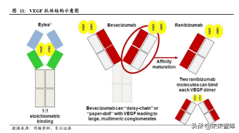 医药生物单抗行业深度研究：靶点篇