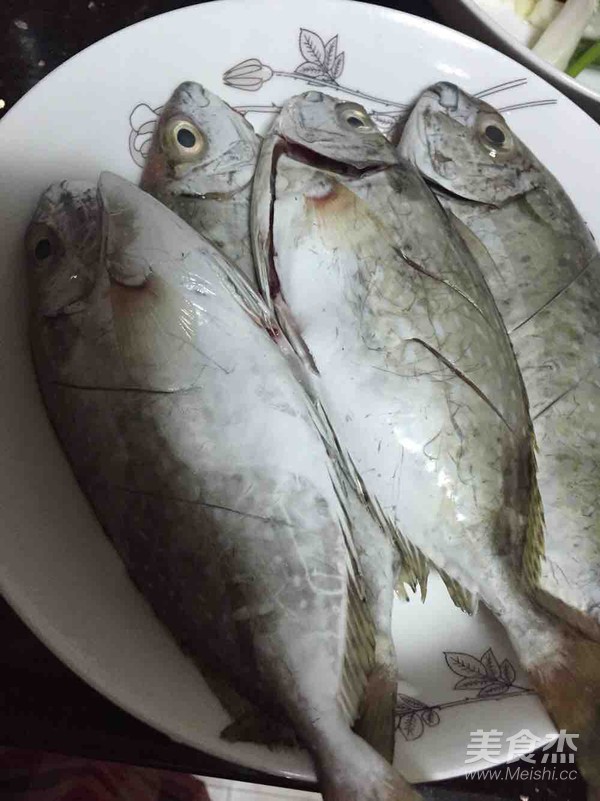 世界上有什么鱼宝藏干货最常见的50种鱼