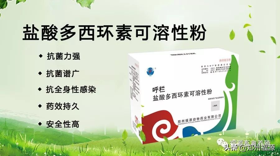 盐酸多西环素 盐酸多西环素片兽药