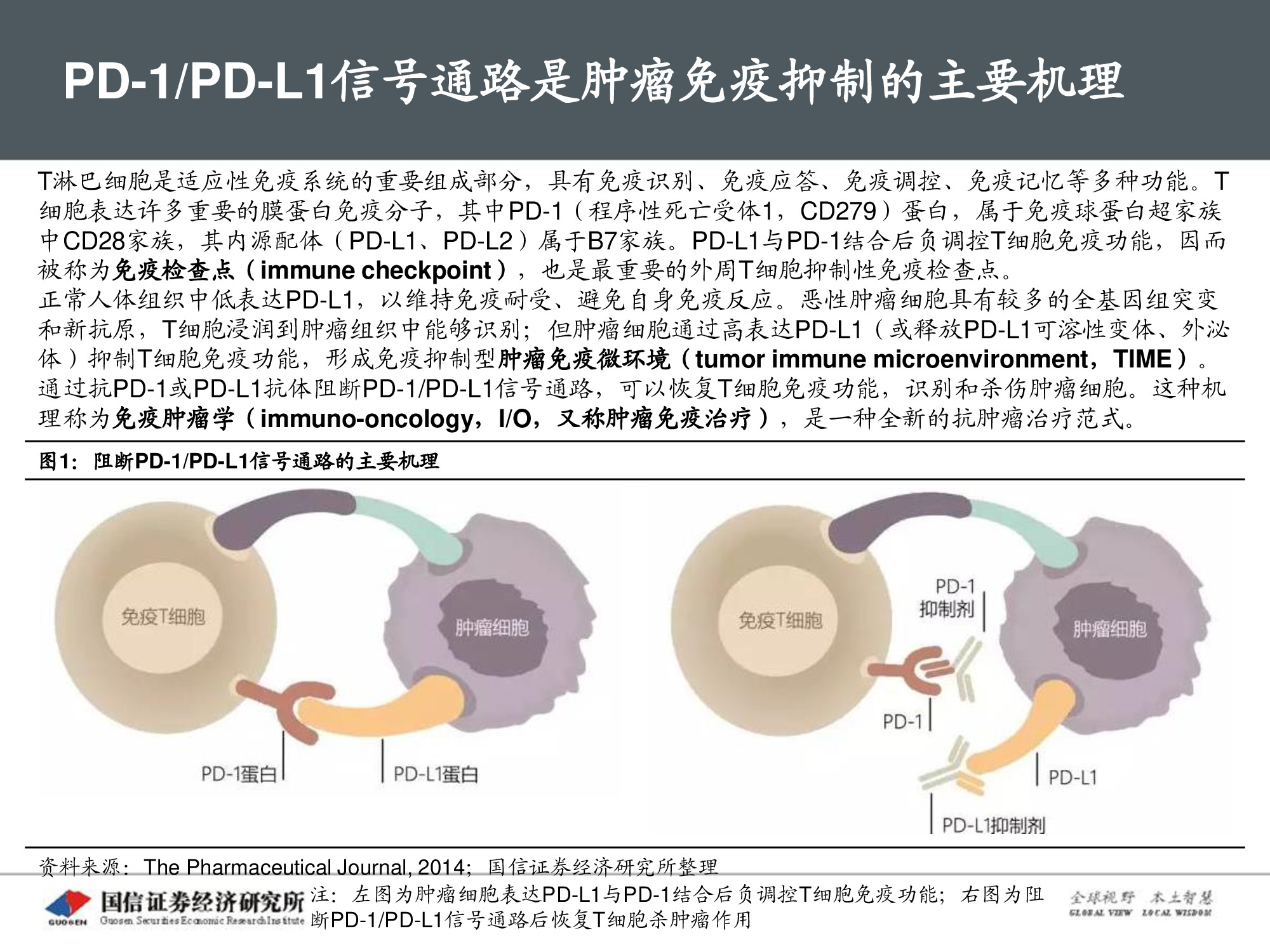 创新药专题报告：PD-1将成为泛肿瘤市场最大药.pdf