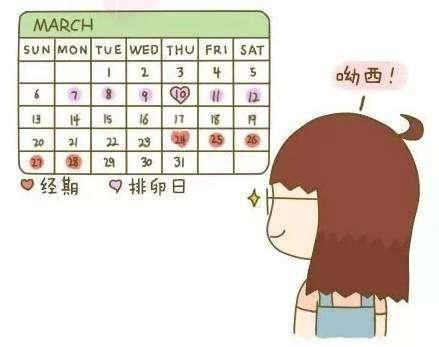 排卵期怎么算 什么是排卵期